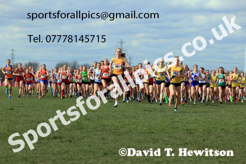 Intermediate Girls 2024 English Schools Cross Country Champs., Pontefract, March 16th.  Photo: David T. Hewitson/Sports for All Pics